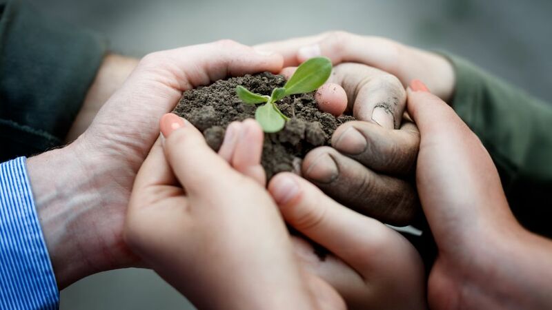 3 fondazioni internazionali alle quali puoi chiedere un contributo