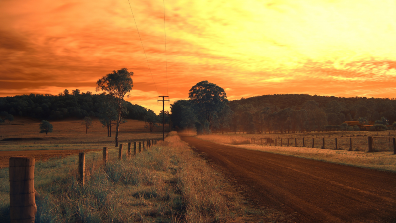 Il ruolo dei GAL nei progetti a sostegno dello sviluppo rurale  